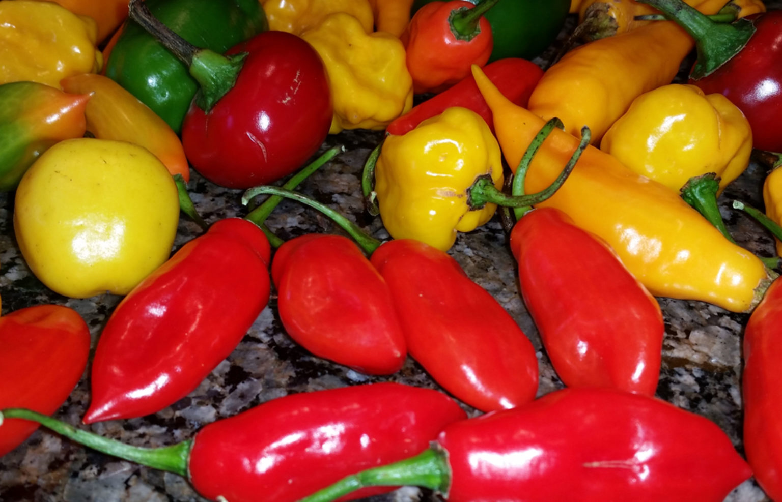 Hot PeppersBurn Body Fat Fast! John Rankin's Way Back