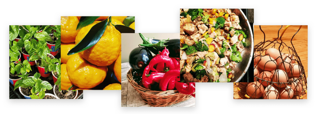 organic-natural-healthy-food