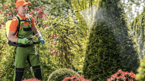 Pest control company spraying lawn